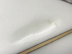 �|���G�X�e�� �{�g�� Borst 23_1